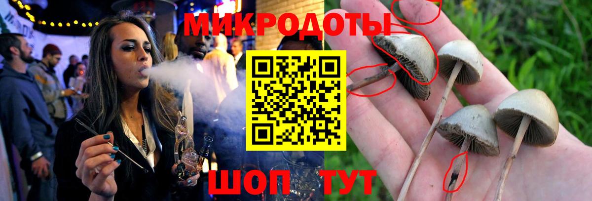 Псилоцибиновые грибы прущие грибы Радужный